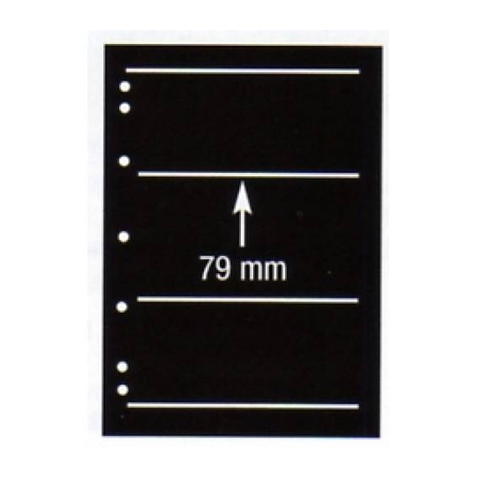 Hagner 3 Pocket Single Sided Stock Sheets - Great for Banknotes and Stamps